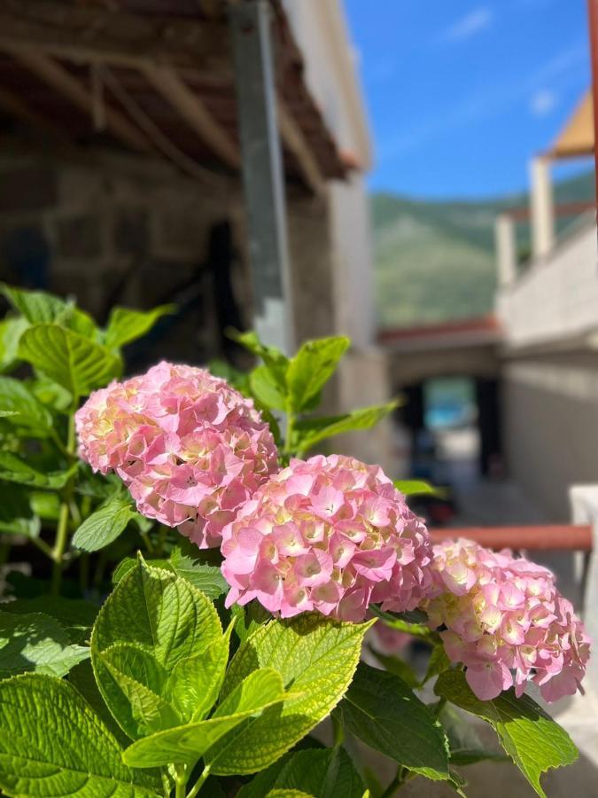 Sea Front 171 Apartment Kotor Exterior photo